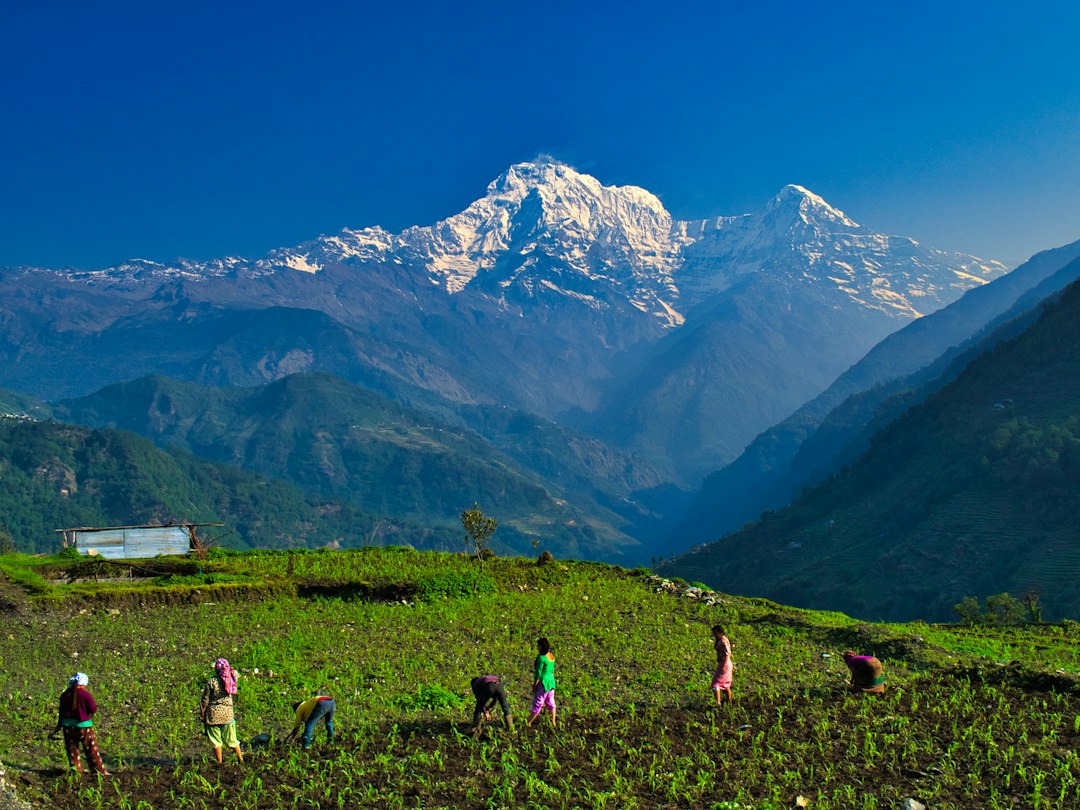Group of travellers gathered outdoors on a tour Group of travellers gathered outdoors on a tour
