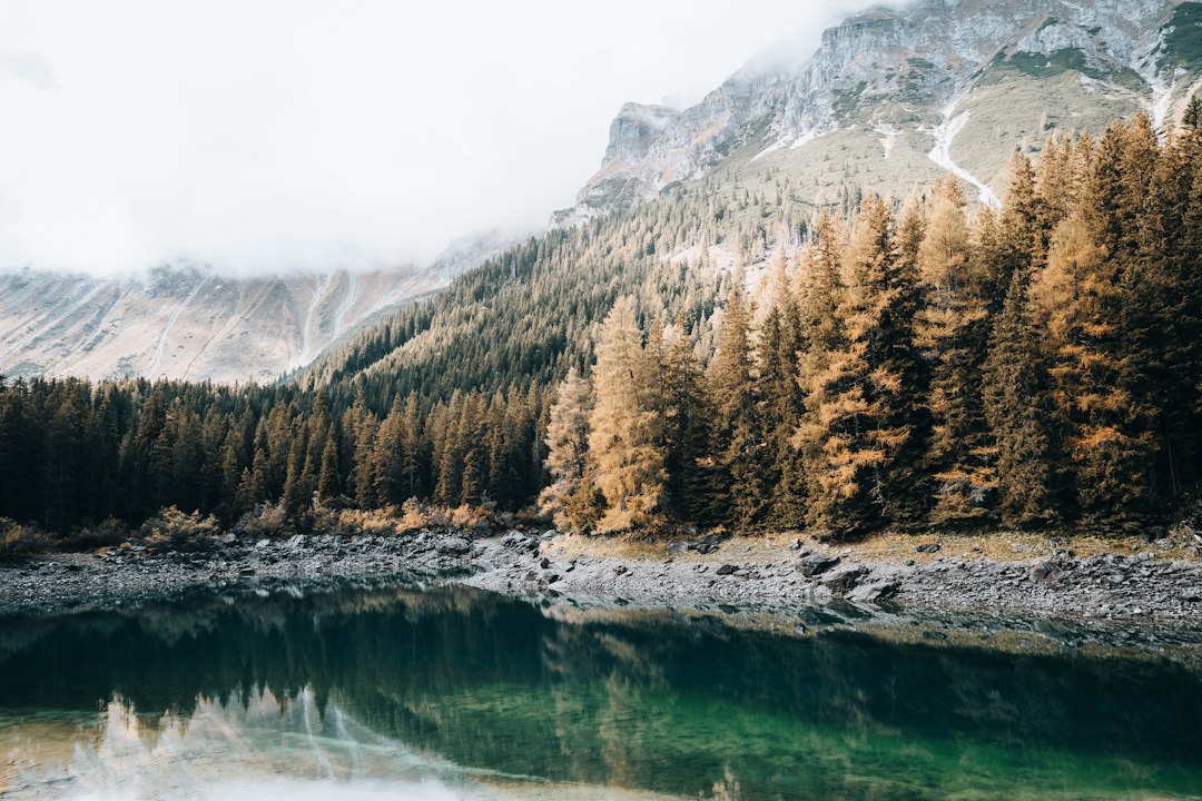 Calm lake surrounded by trees and mountains Calm lake surrounded by trees and mountains