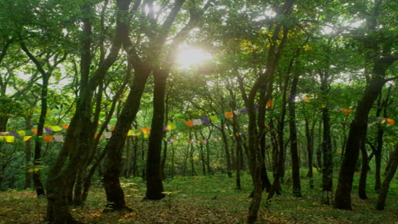 Nagarjun Forest Reserve