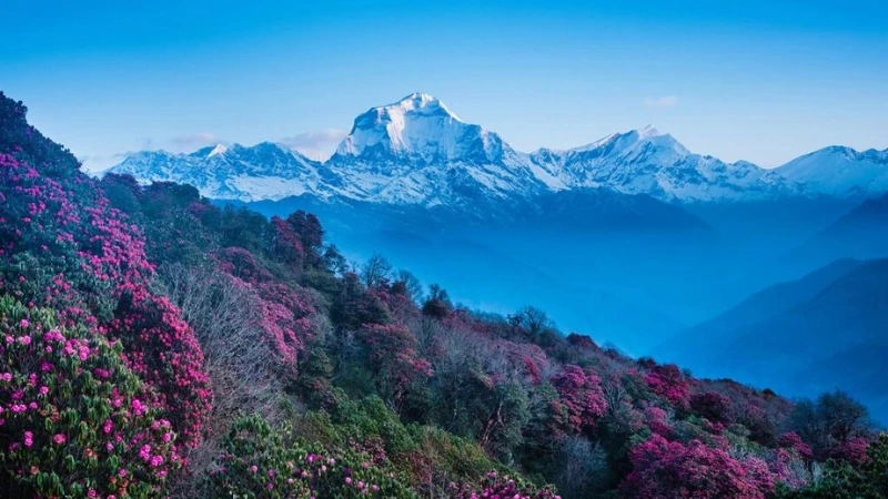Ghorepani & Poonhill Trek - Nepal travel package